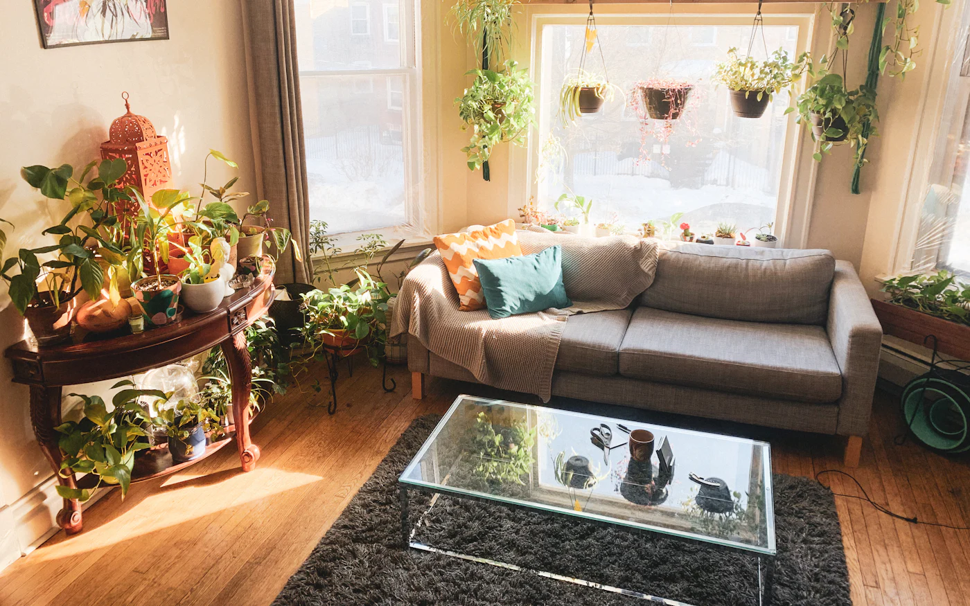A sunlit living room filled with plants and comfortable furniture, representing the kind of home environment SIL support is delivered in